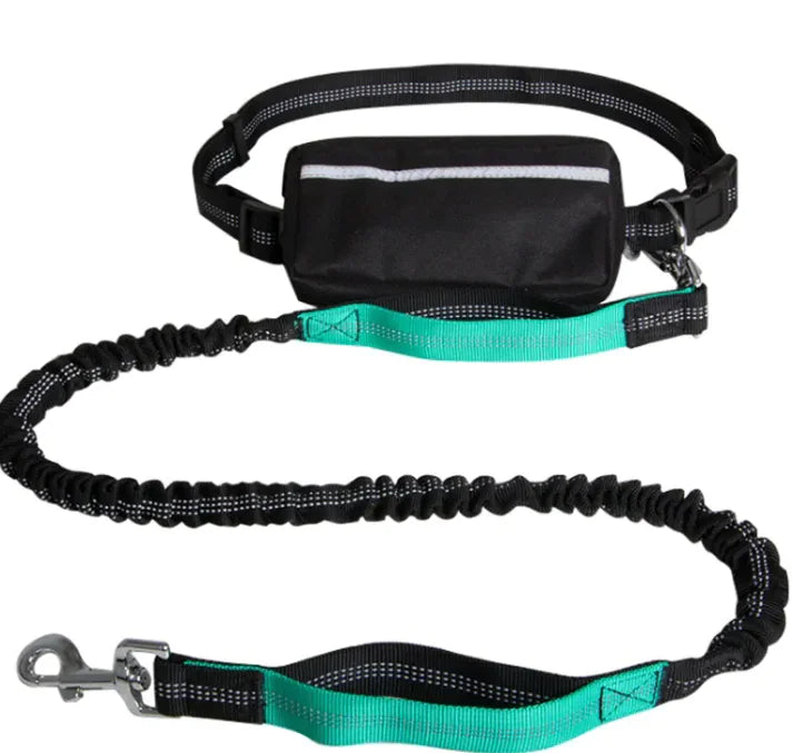 Reflecto Leash