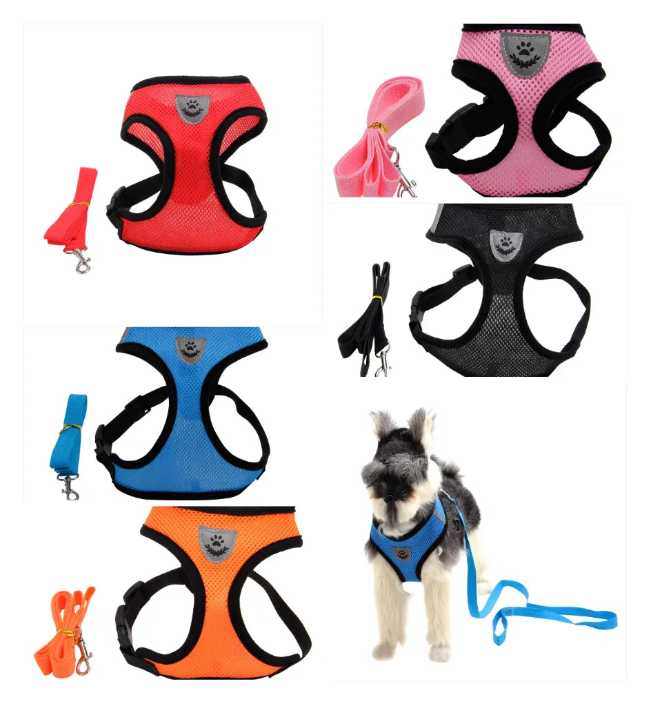 Dog Harness