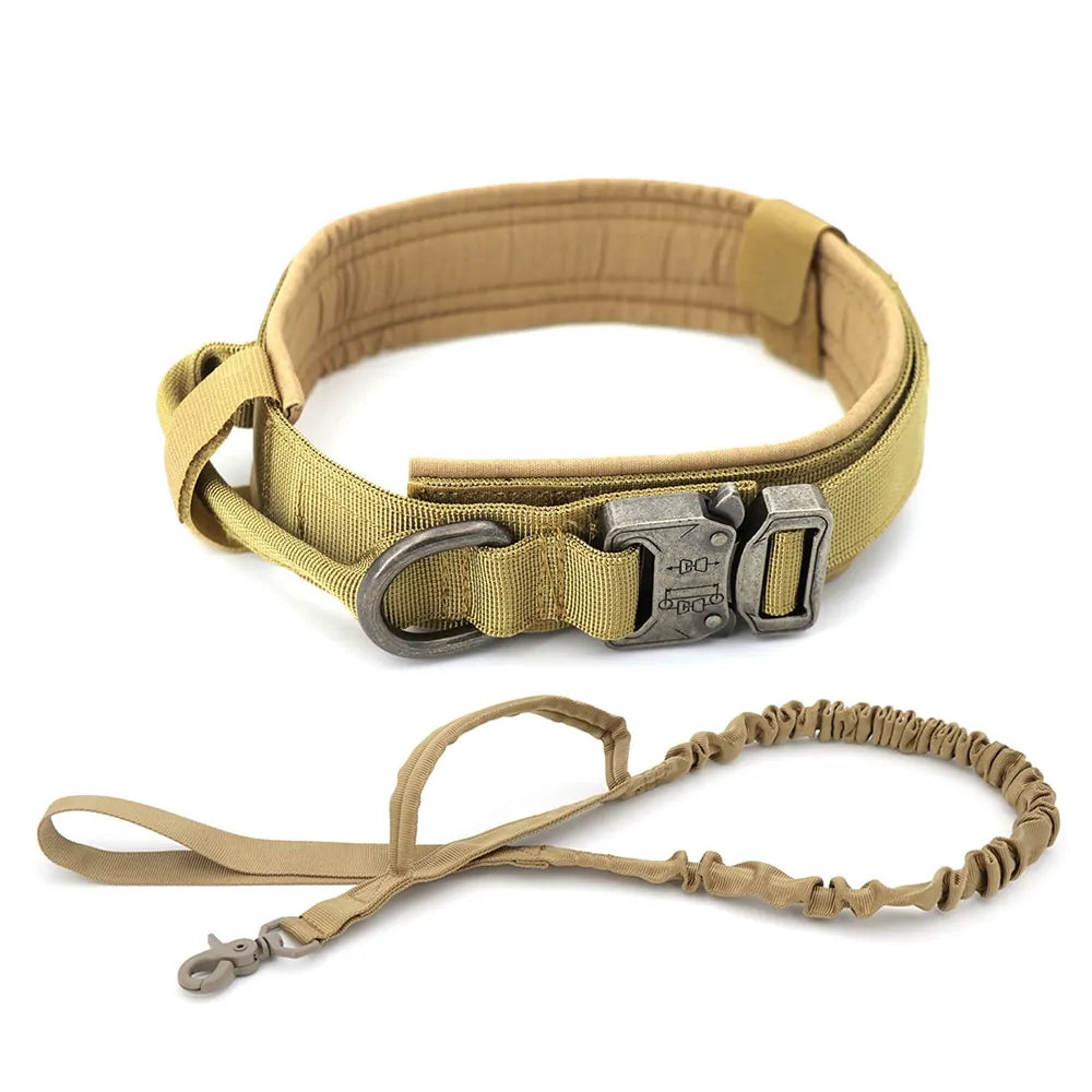 Military Dog Collar