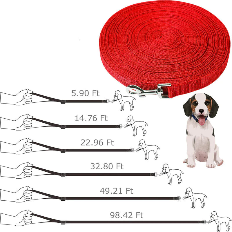 Obedience Recall Training Lead