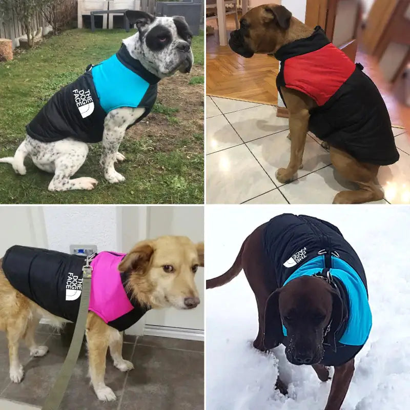 The Dog Face Vest