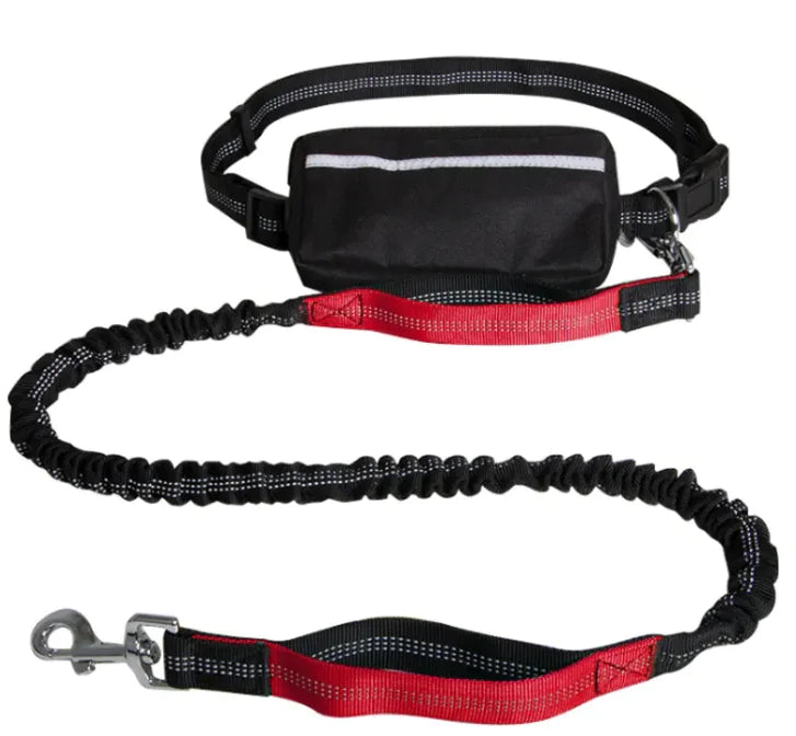 Reflecto Leash