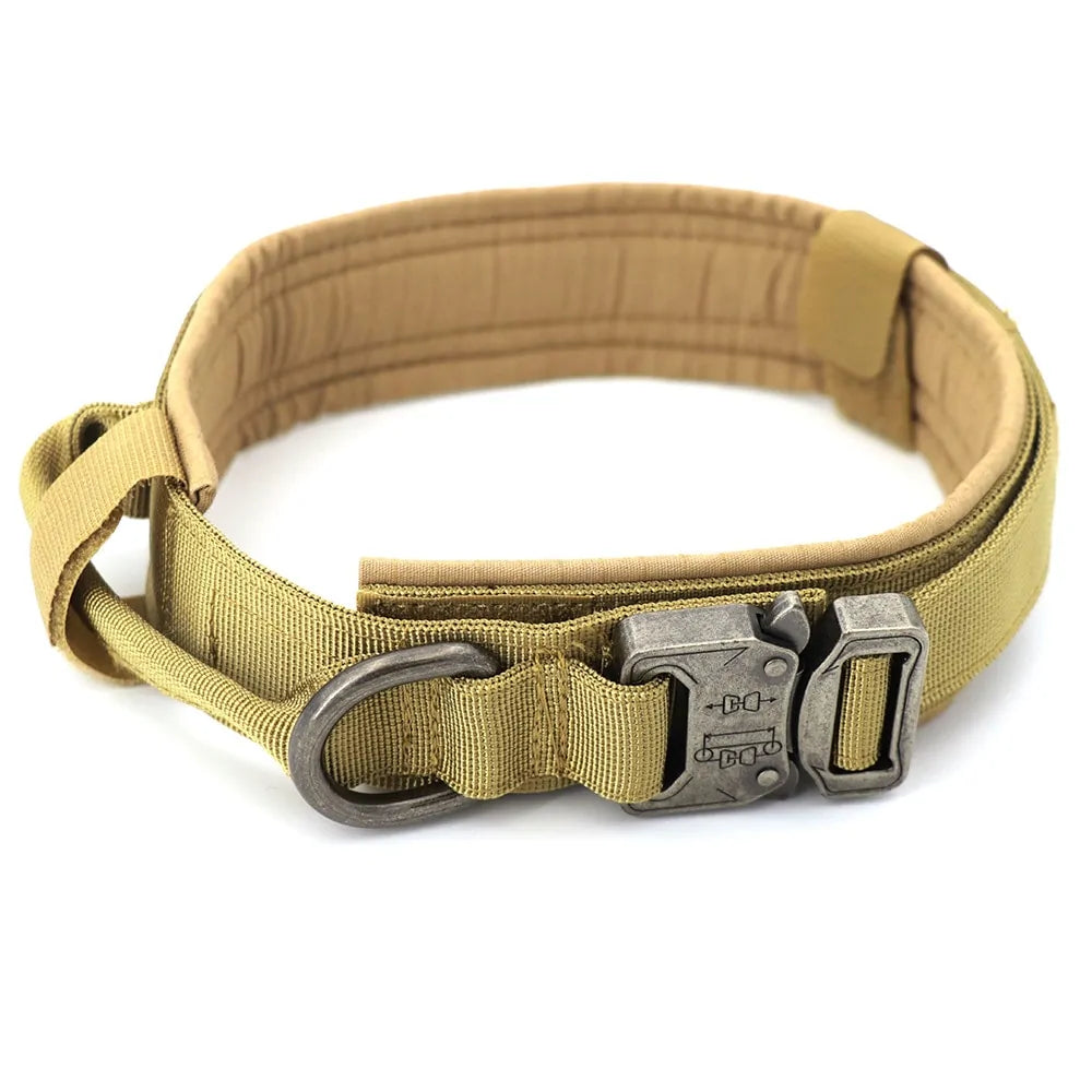 Military Dog Collar