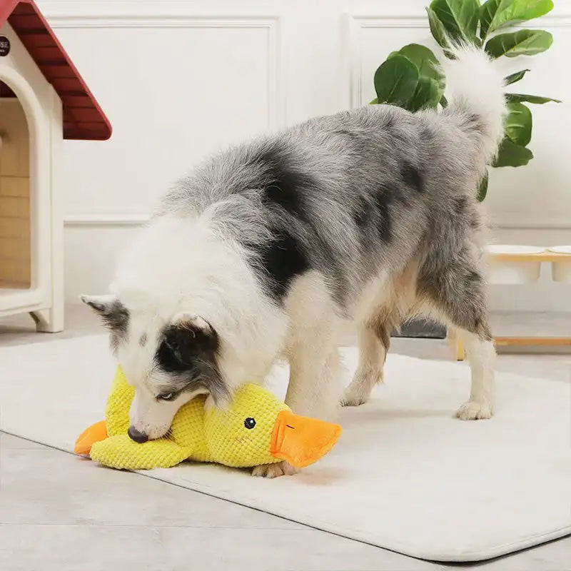 Plush with Sounds Duck Toy