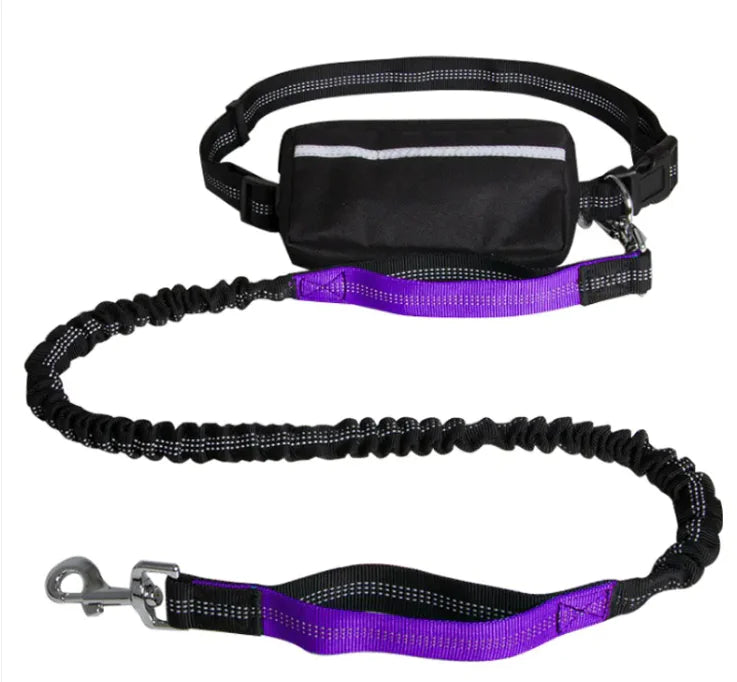 Reflecto Leash