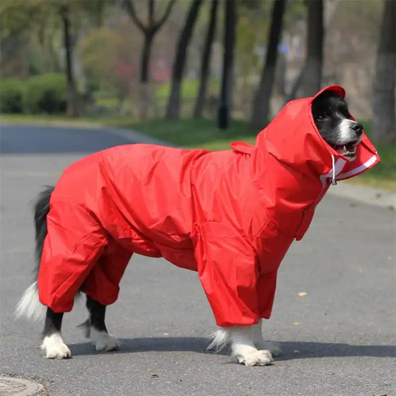 Winter Raincoat