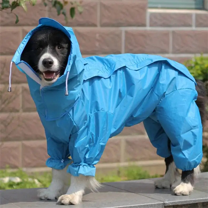 Winter Raincoat