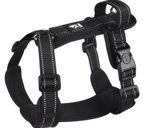 Harness Vest