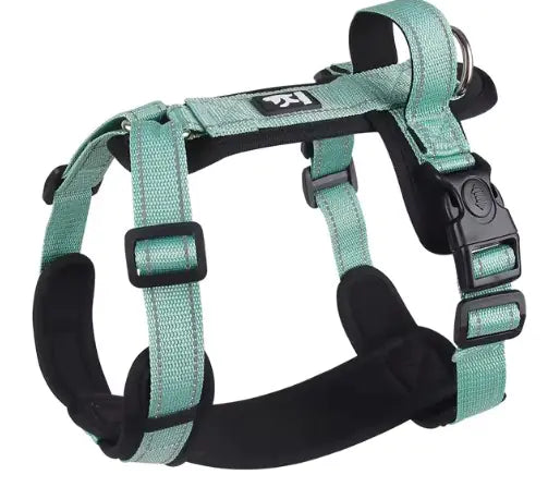 Harness Vest