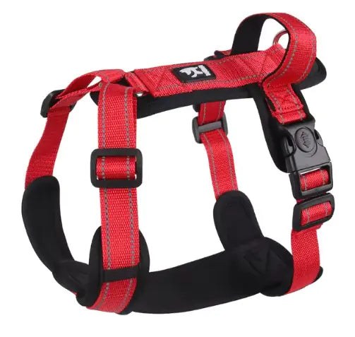 Harness Vest