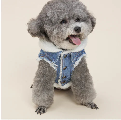 Denim Dog Jacket