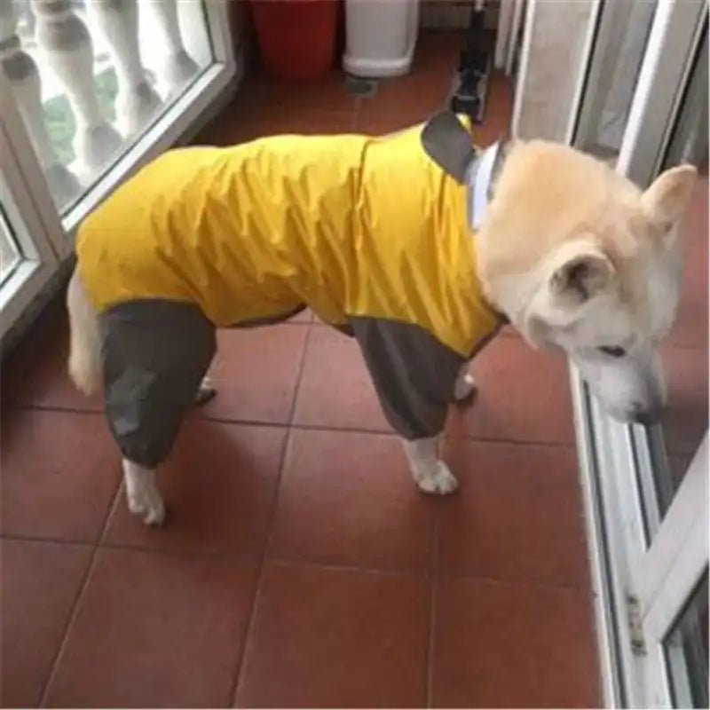 Winter Raincoat