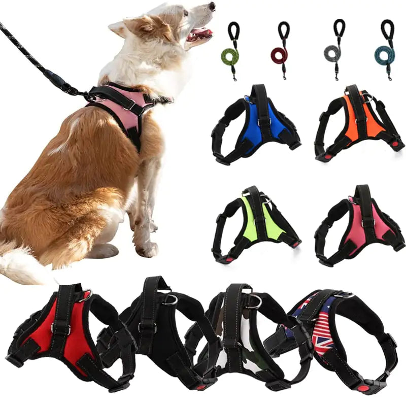 Harness Adjustable Comfort