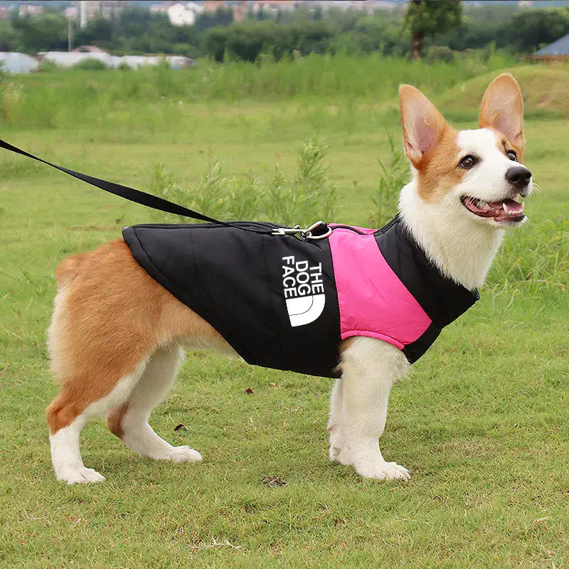 The Dog Face Vest