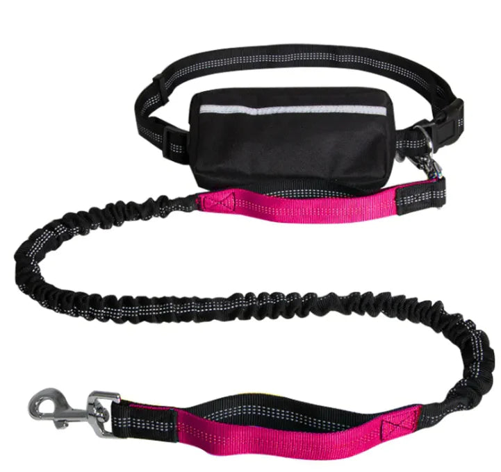 Reflecto Leash