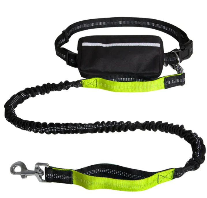 Reflecto Leash