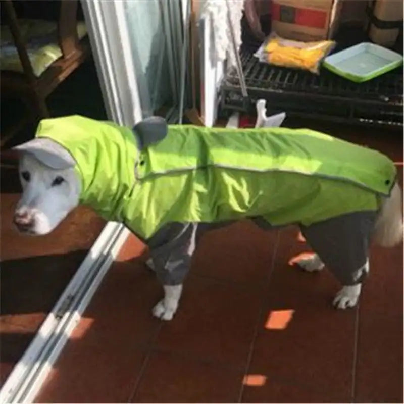 Winter Raincoat