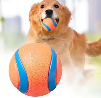 Fetch Ball