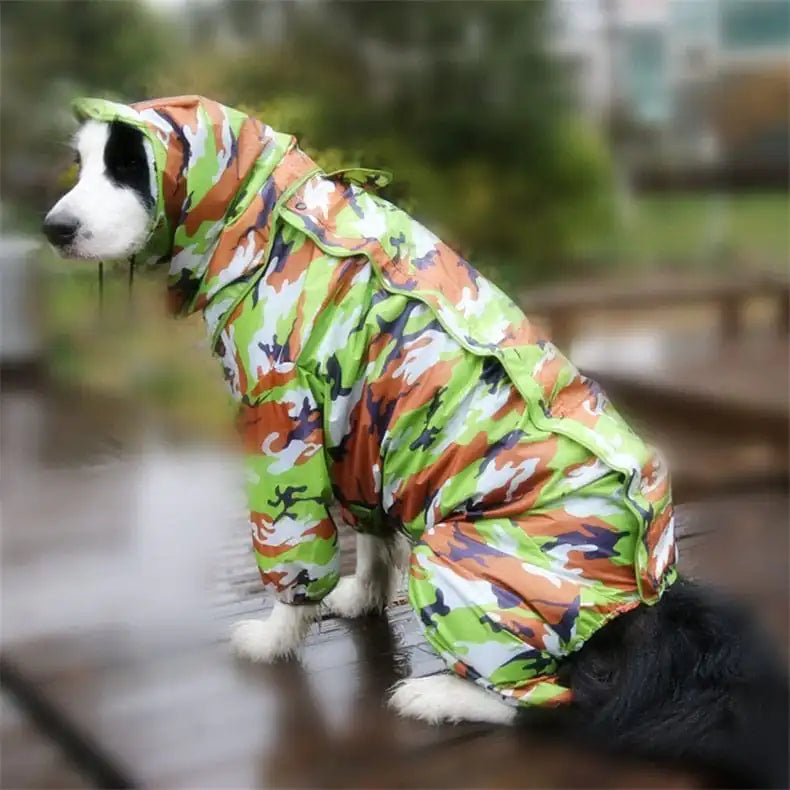 Winter Raincoat