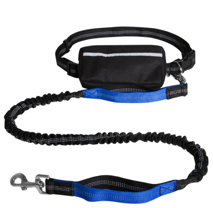 Reflecto Leash