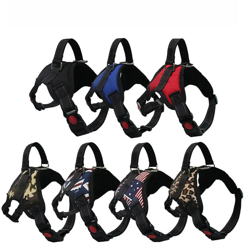 Harness Adjustable Comfort