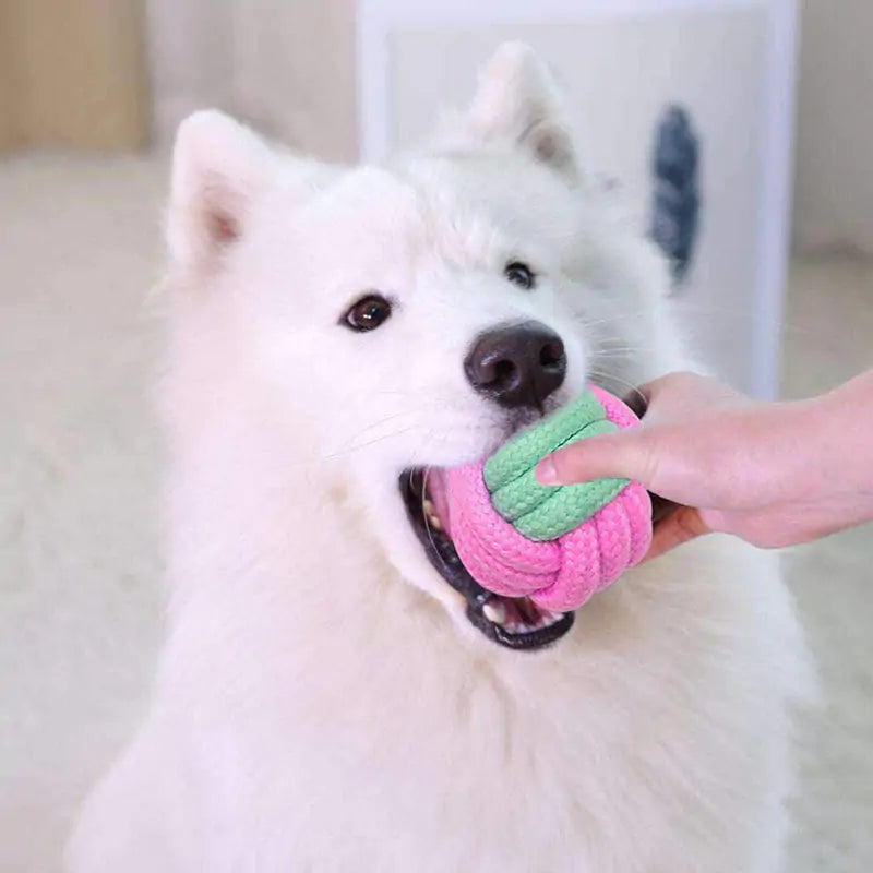 Dog Chew Toys